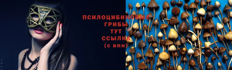 Галлюциногенные грибы Cubensis  где продают наркотики  Лянтор 